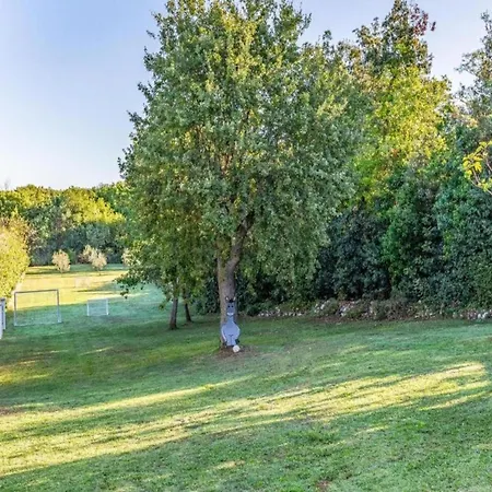 Appartement In With Sea View Terrace Pula